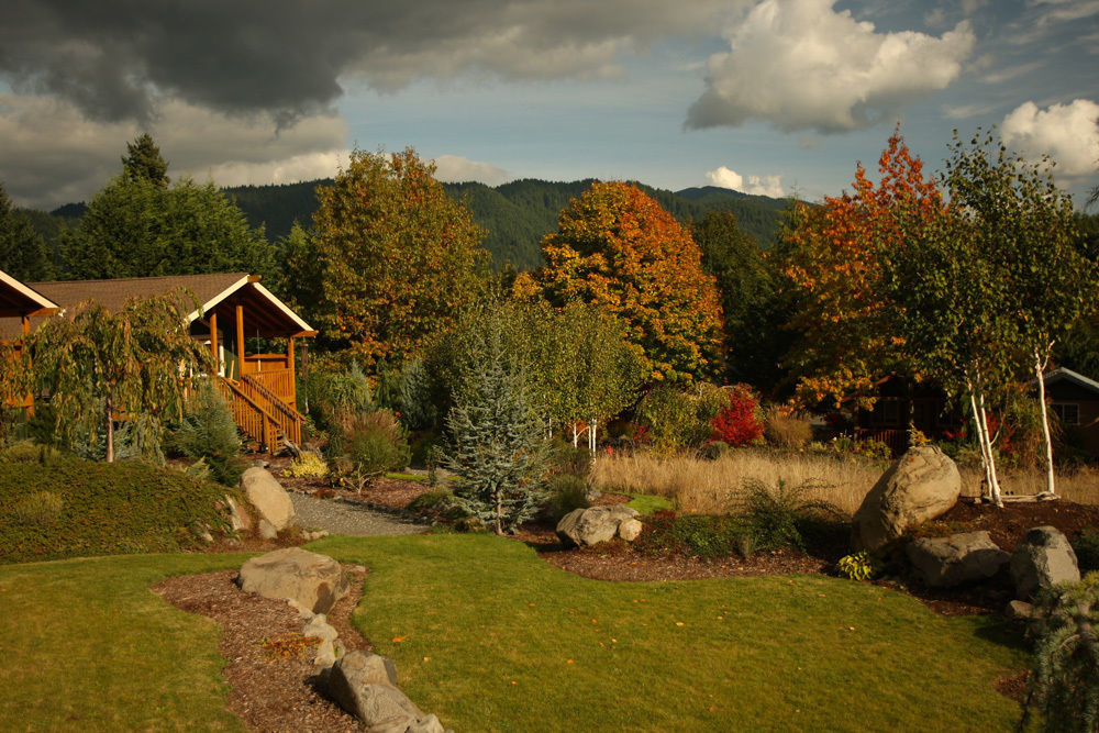 Carson Ridge Luxury Cabins Εξωτερικό φωτογραφία