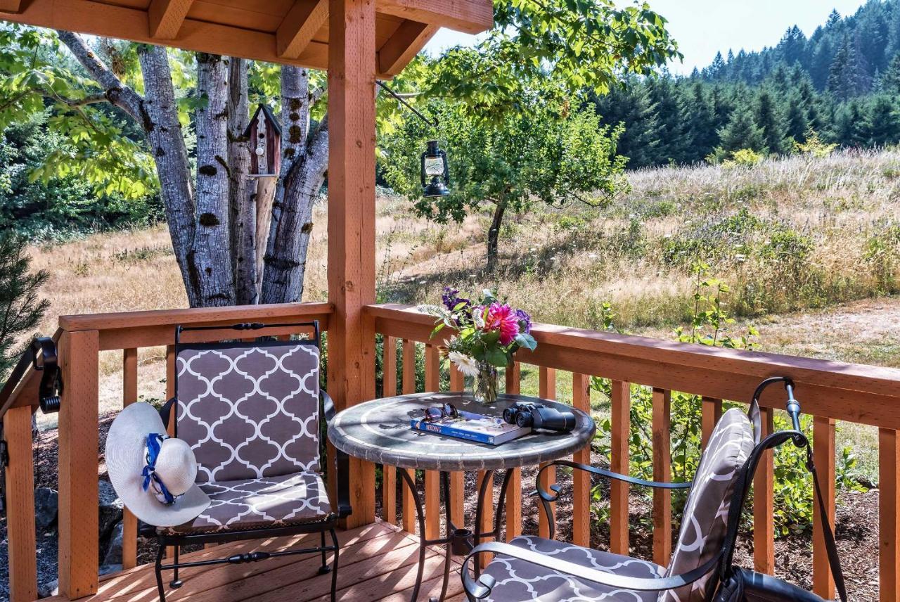 Carson Ridge Luxury Cabins Εξωτερικό φωτογραφία